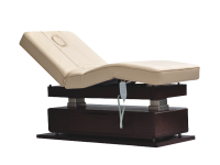 Mudit Electric Spa Massage Table