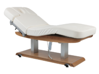 Tejas Electric Spa Massage Table