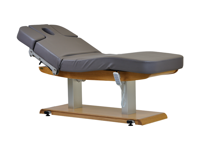 Tejas Electric Spa Massage Table