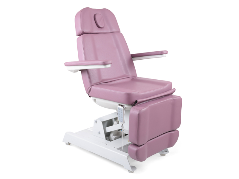 Mridul Derma Chair